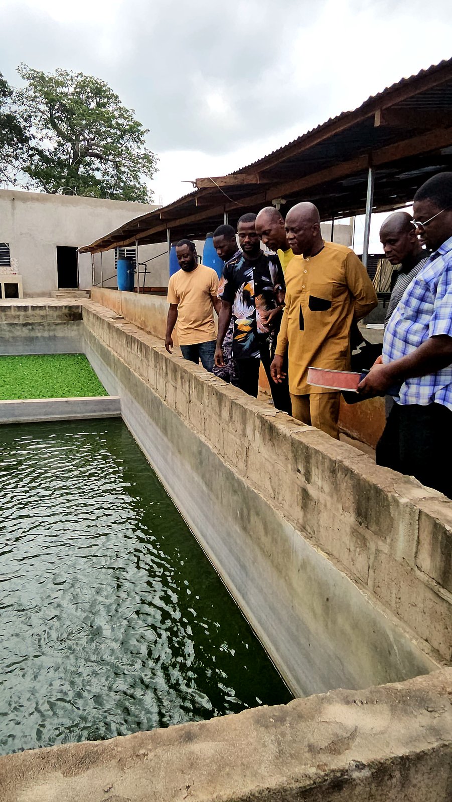 Visite des bassins de pisciculture