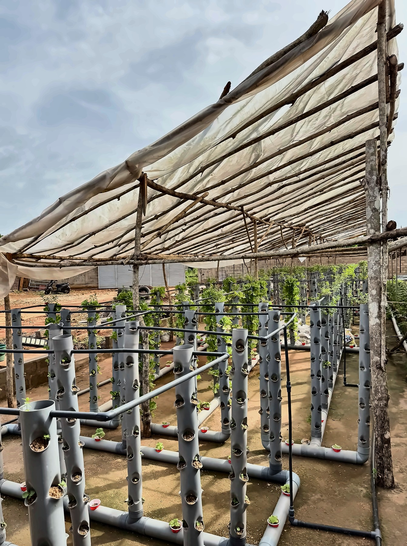 Agriculture hors sol — AZON DODE