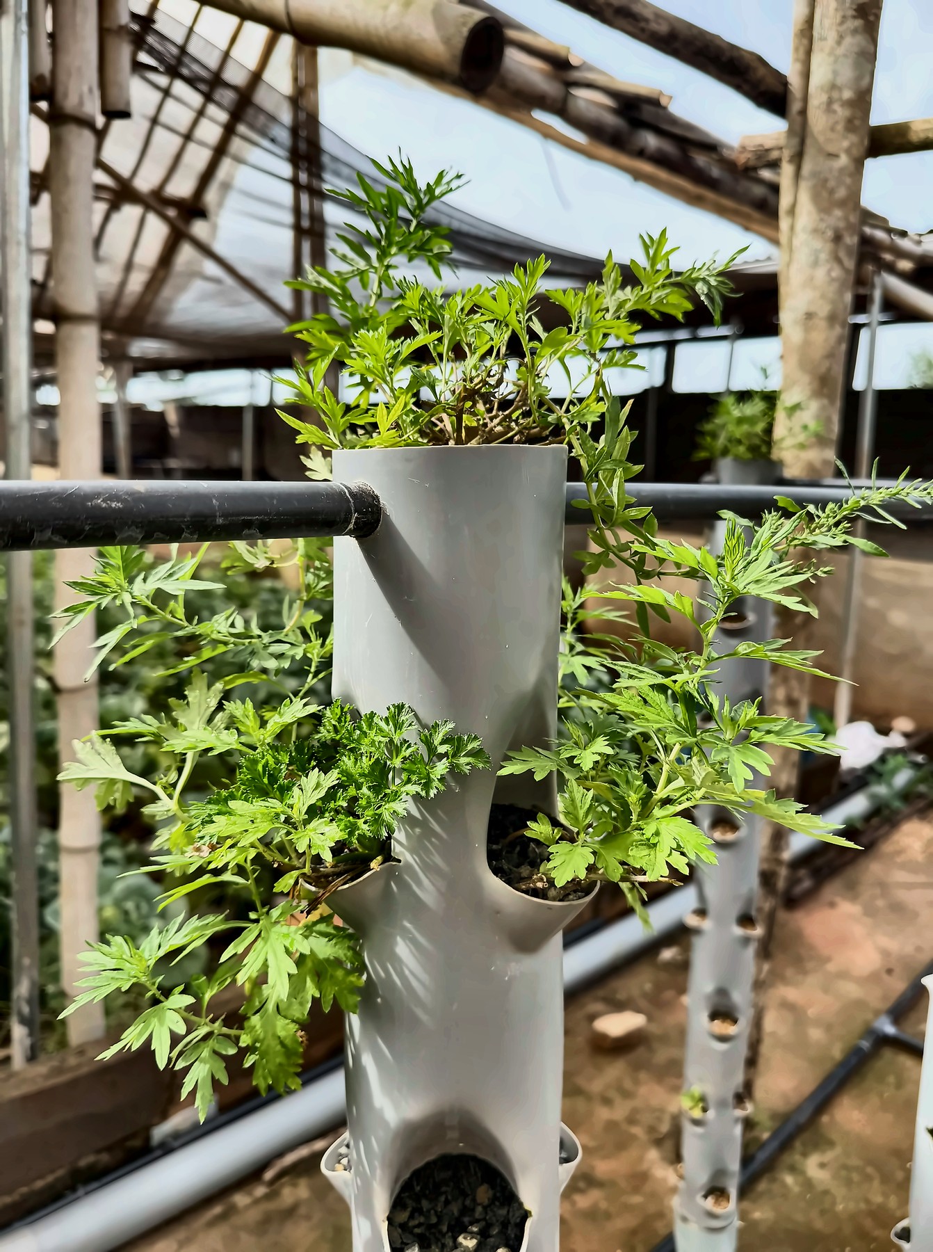 Produire
