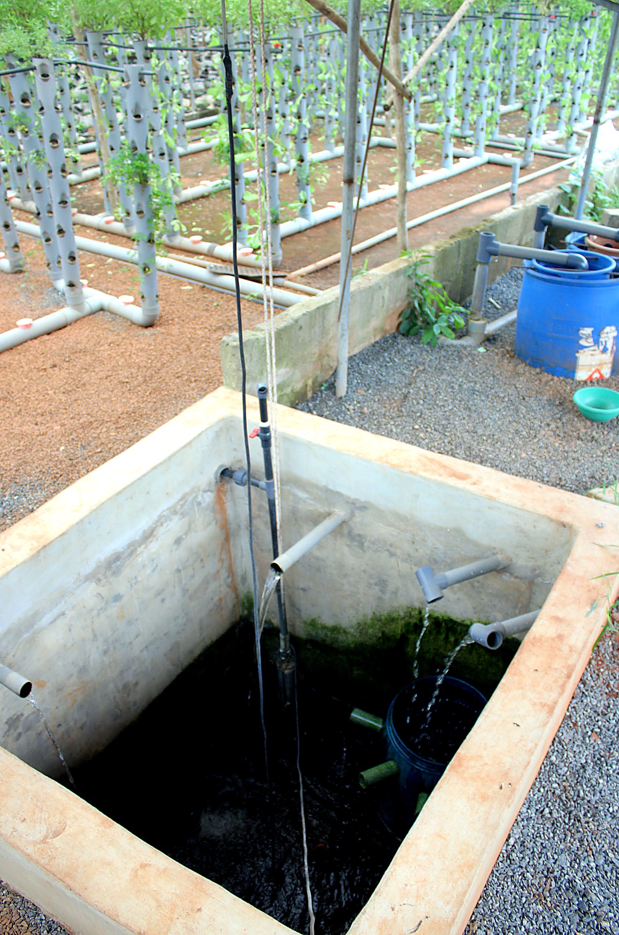 Pisciculture & Aquaponie — AZON DODE