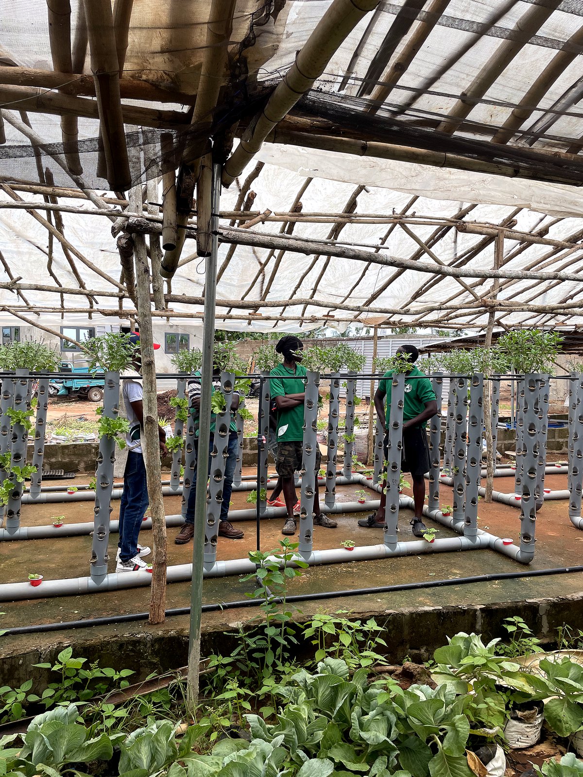 Agriculture hors sol — AZON DODE