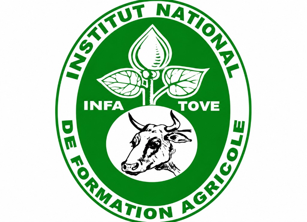 INFA de Tové