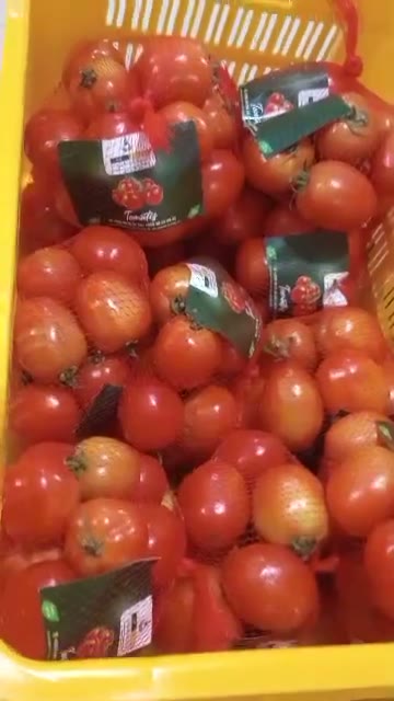 Tomates conditionnées en filets