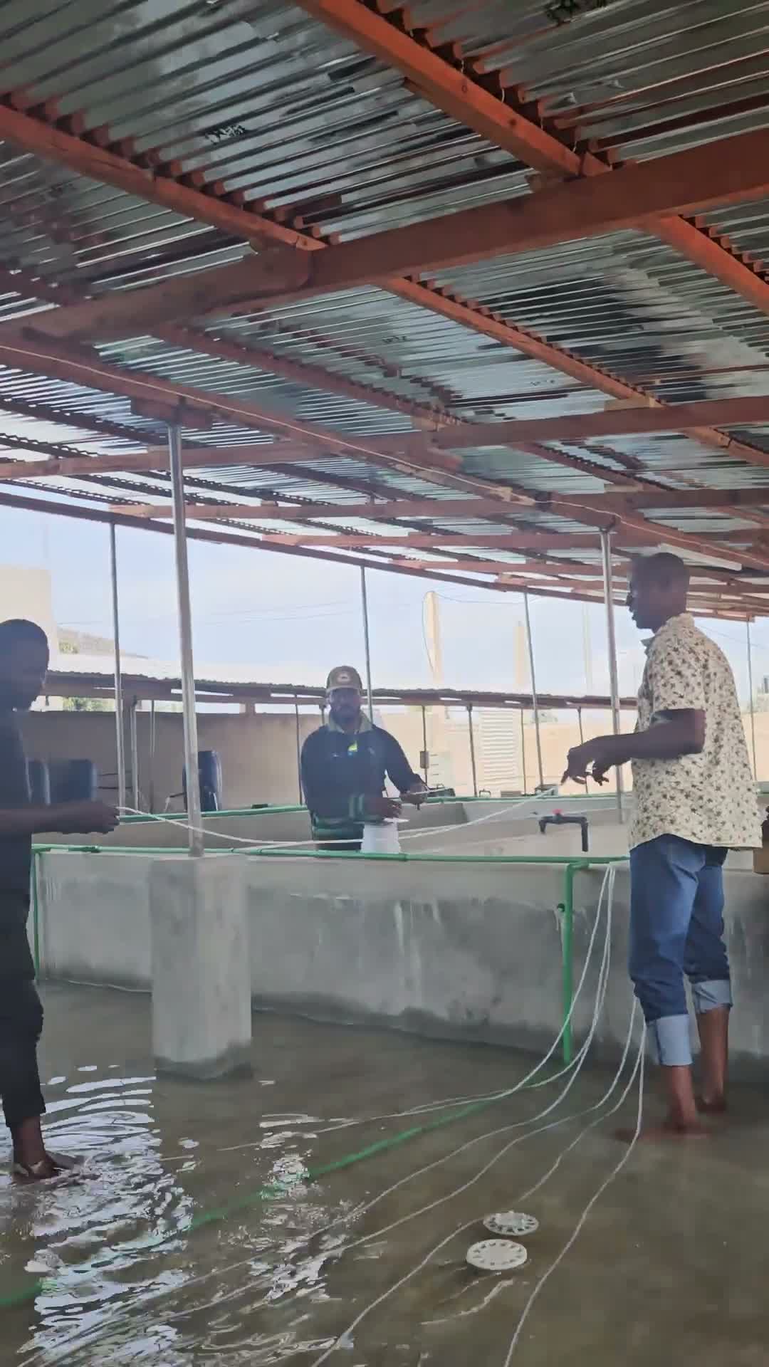 Visite des bassins de pisciculture